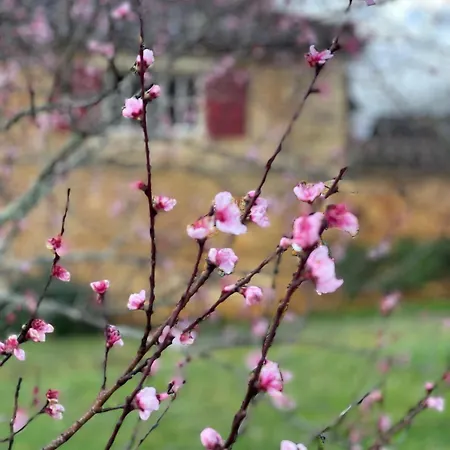 D'amis De Belbouys בית נופש Soturac