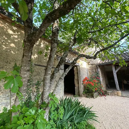 D'amis De Belbouys Vakantiehuis *