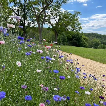 D'amis De Belbouys Vakantiehuis *