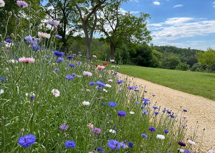 D'amis De Belbouys Дом отдыха *