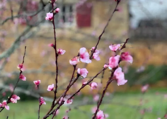 D'amis De Belbouys Дом отдыха Soturac